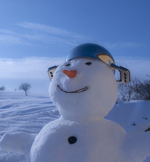 snowman-590386_1280